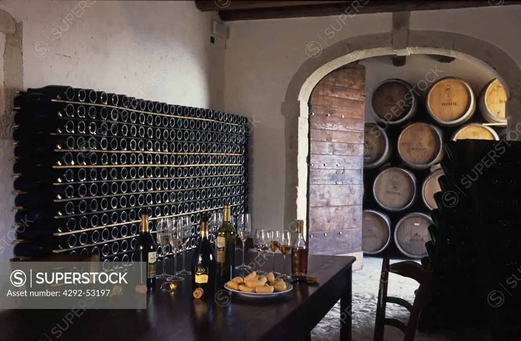 Wine cellar, Veneto, Italy