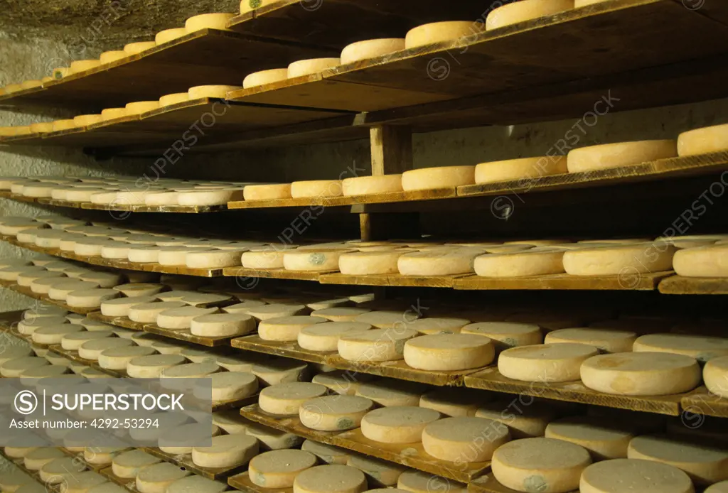 France, Haute- Savoie, seasoning of Reblochon cheese