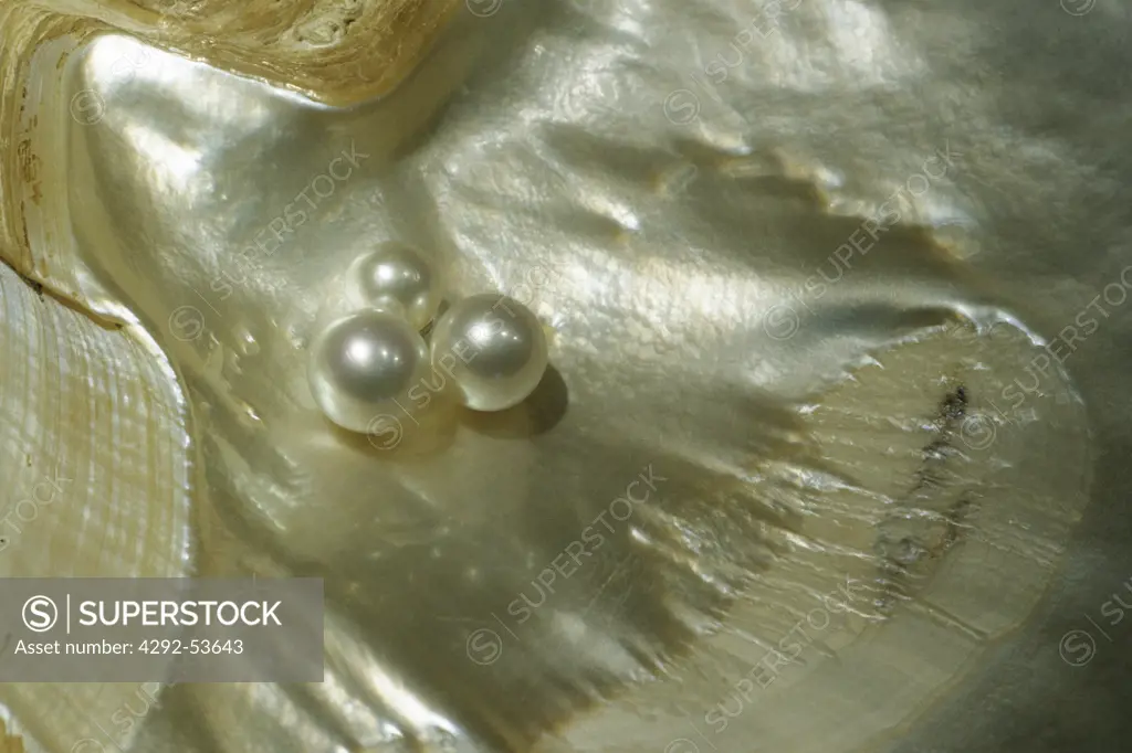 Pearls in a Jewelry
