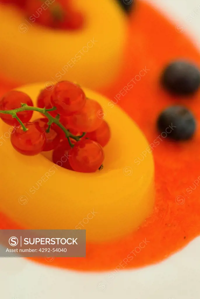 Fruit Bavarese