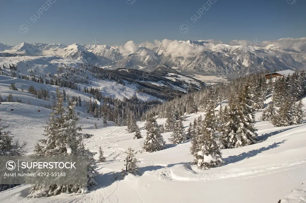 Austria, Tyrol, Alpbach valley, Wiedersbergerhorn and Hornboden refugee