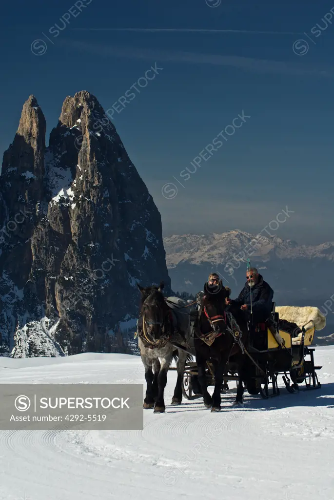 Italy, Trentino Alto Adige, Alpe di Siusi, horse sledge