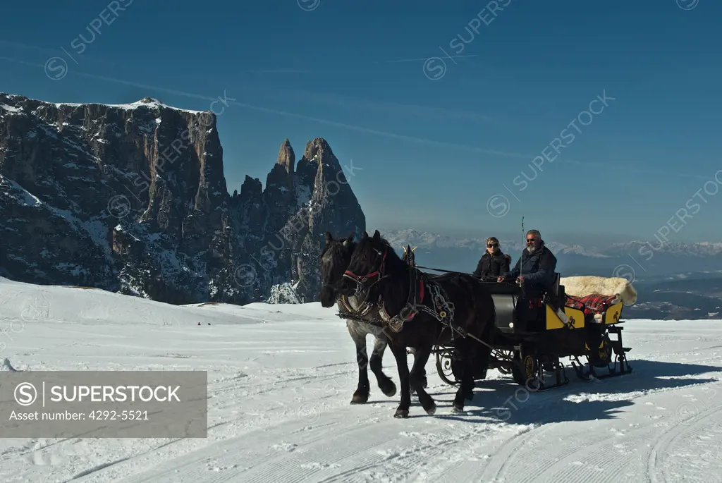 Italy, Trentino Alto Adige, Alpe di Siusi, horse sledge