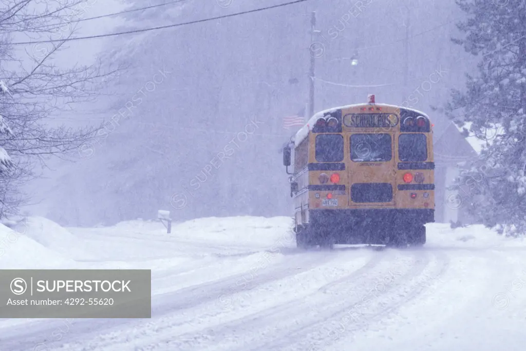 School bus on a snowy road
