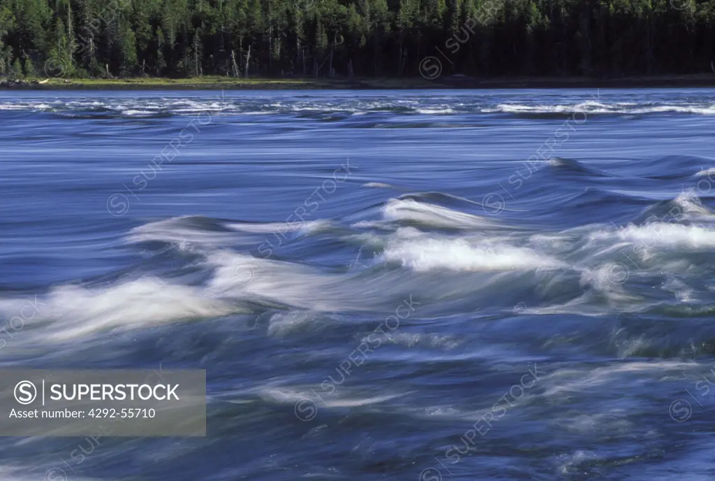 Rapids at High Tide, Falls Cobscook Bay, Pembroke, Maine, USA
