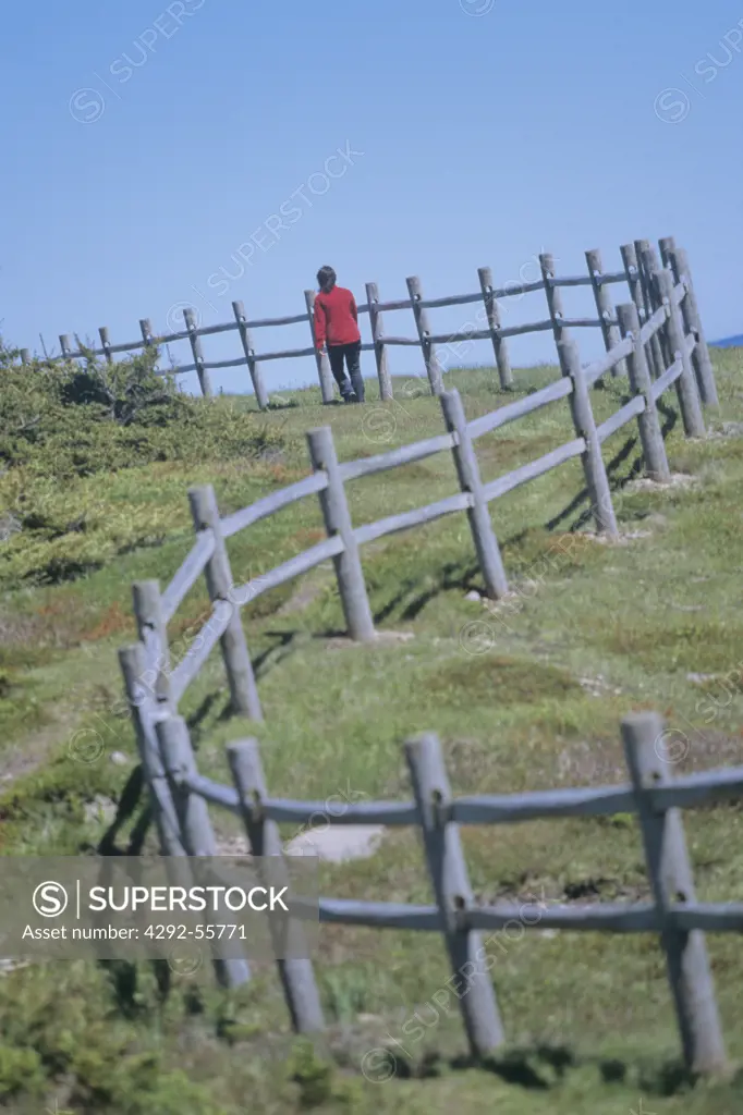 Woman in a red jacket walking along the fence in a caostal Provincial Park, Nova Scotia,Canada