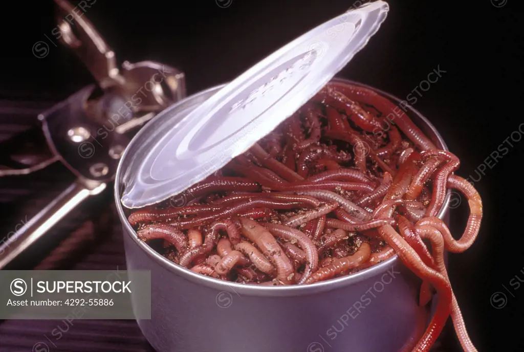 Can of worms