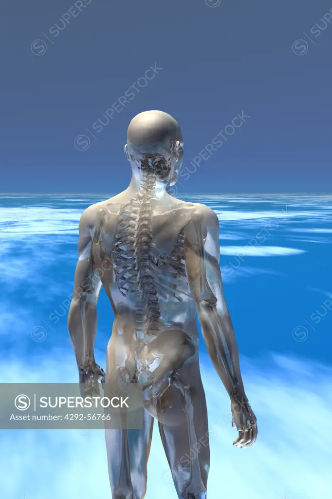Human backbone