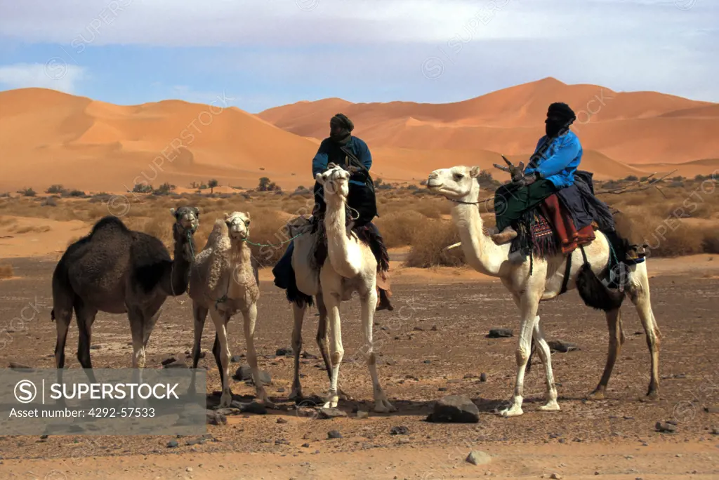 Algeria, the Sahara desert in West Grand Erg, Tuaregs riding dromedary