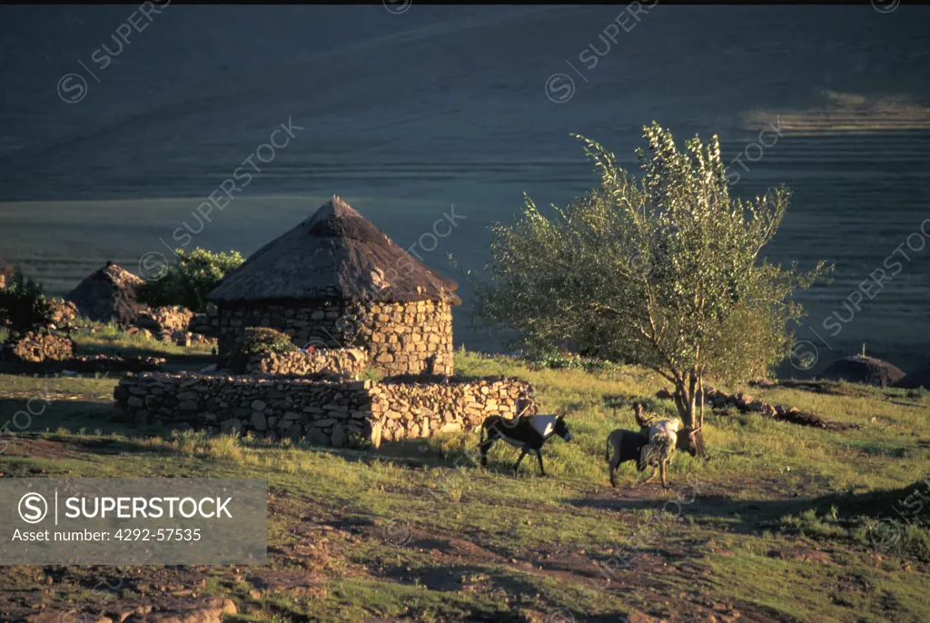 Africa, Kingdom of Lesotho,the Roof of Africa route, village