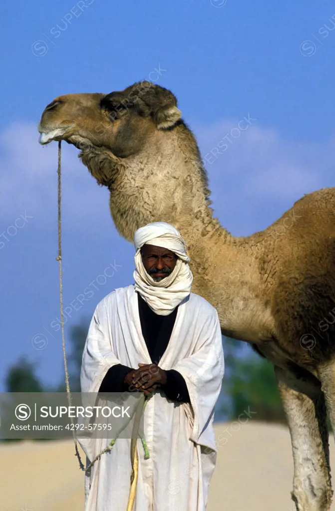 Tunisia, berber camel driver