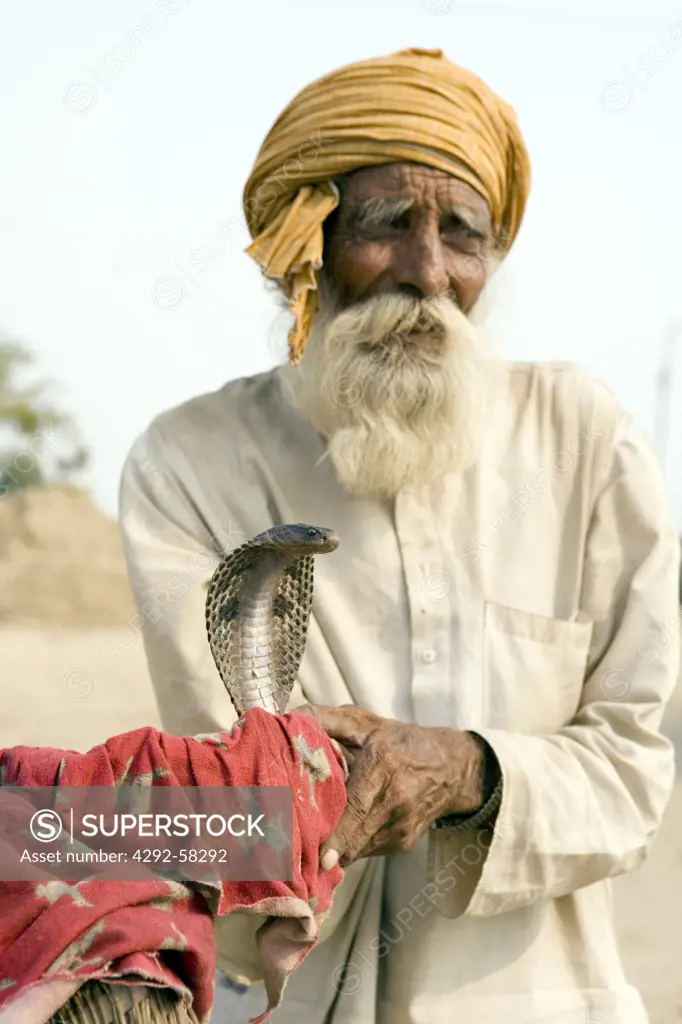 India, Rajasthan, snake charmer