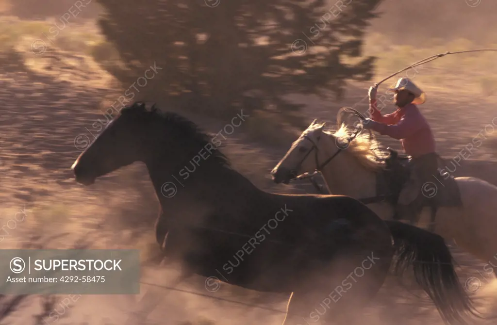 Cowboy horseback riding