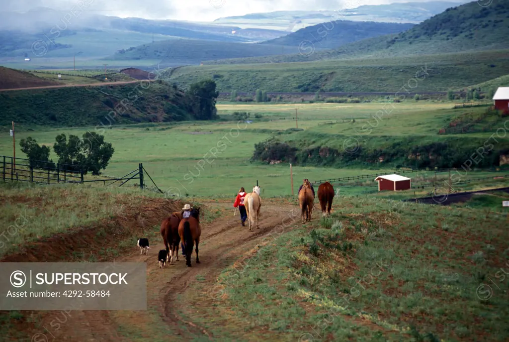 USA, Colorado, Routt County, Cowboy and girl walking horses to the barn