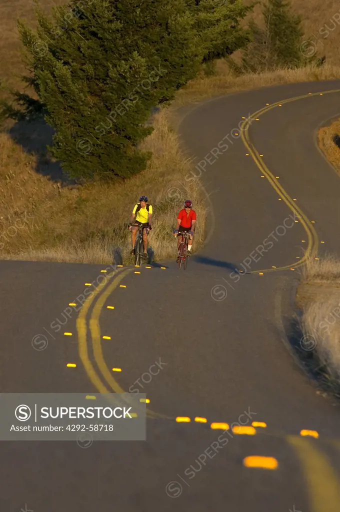 Usa, Northen California, bicycle riders on country road