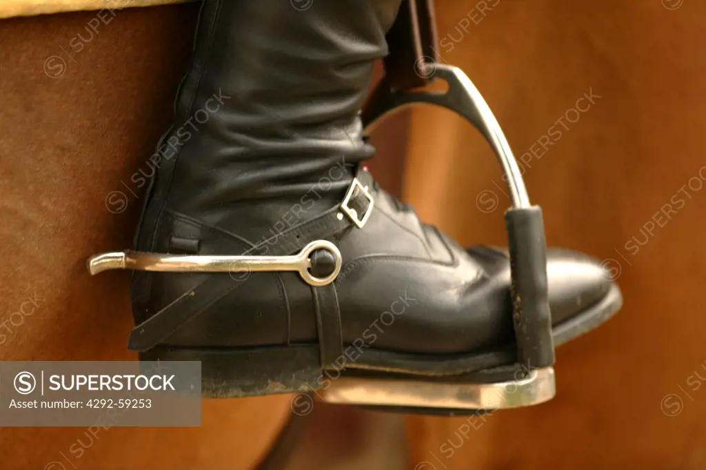 Foot in the stirrup
