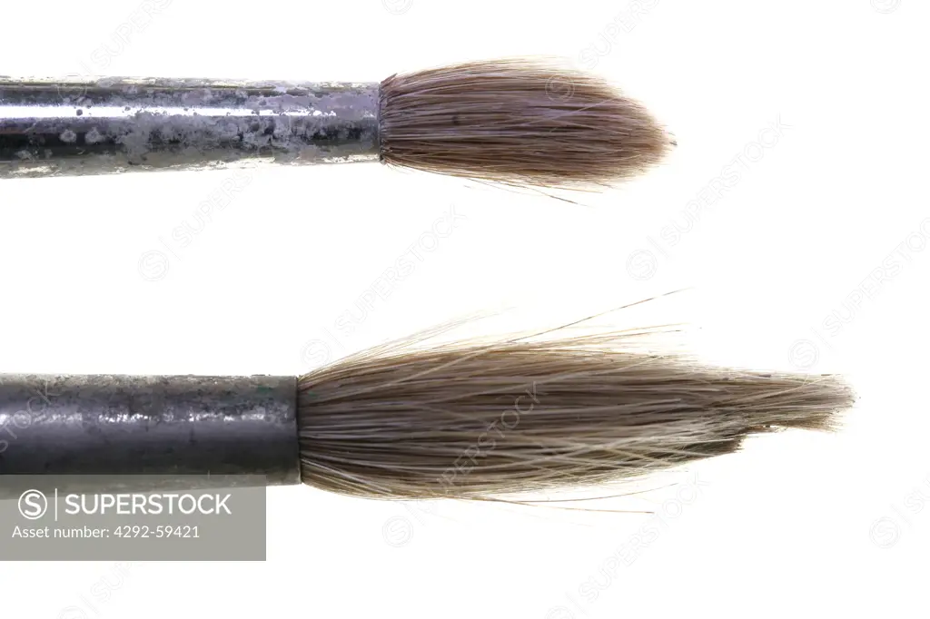 Still life of two brushes