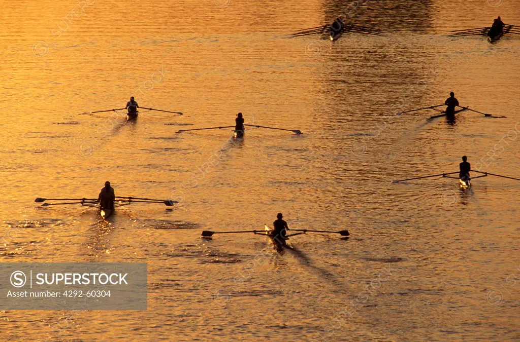 USA, Massachusetts, Boston, rowing teams exercising in scull on the Charles River at sunrise