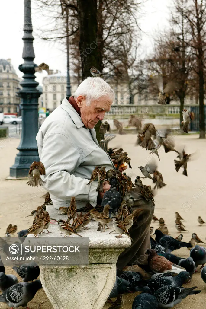 France - Paris, old man feeding birds