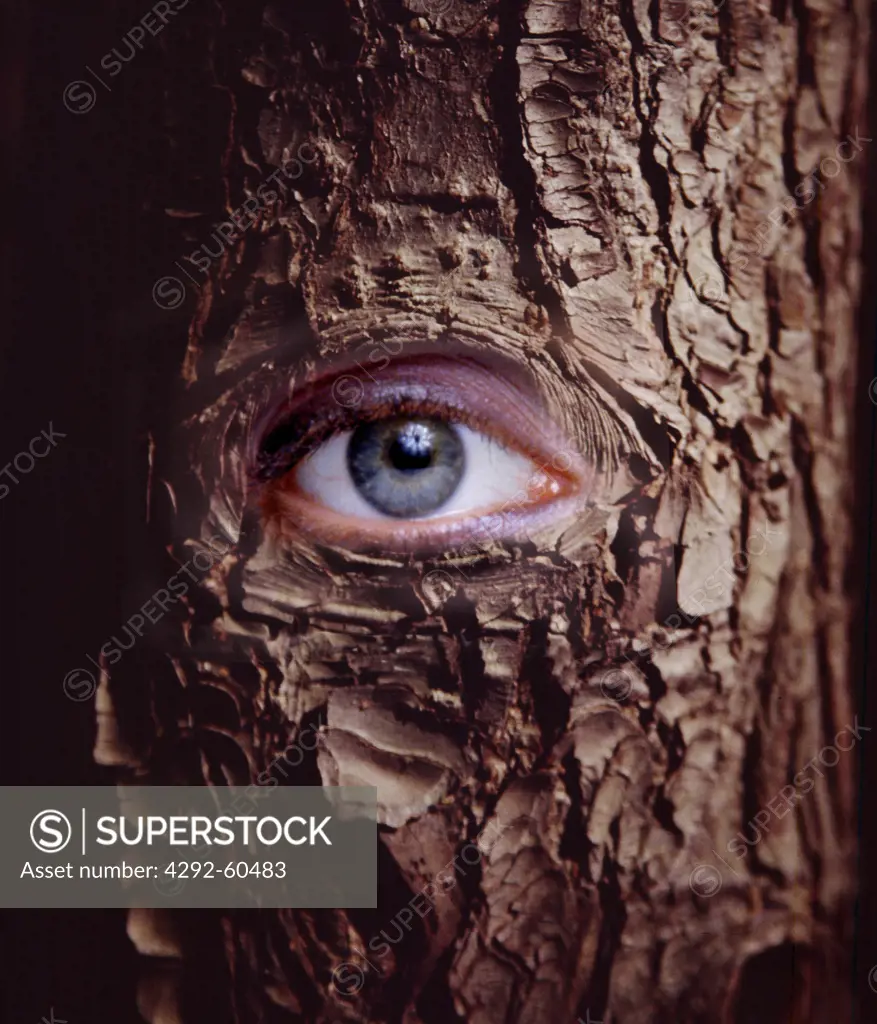 Looking tree (digital composite)