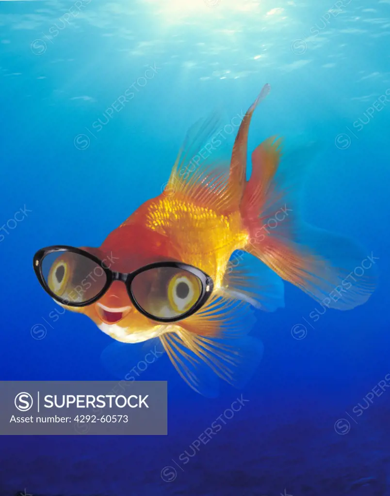 Fish with glasses (digital composite)