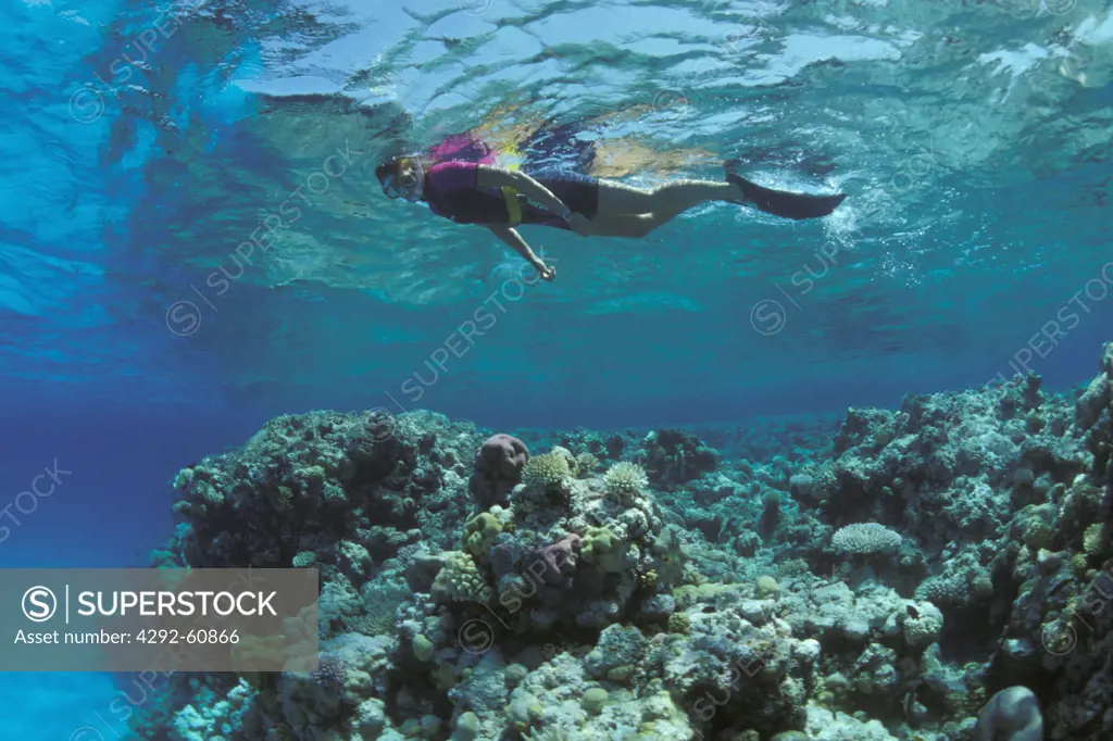 Australia Great Barrier ReefSnorkeling on coral reef