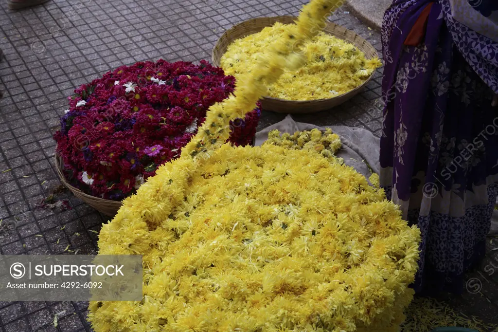 Chrysanthemum at market in Mysore, India