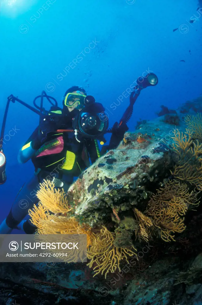 Diver in the Mediterranean sea