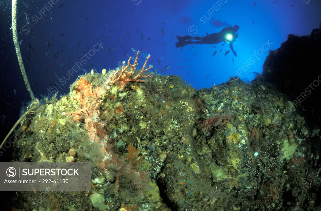 Italy, Aeolian Islands, Vulcano island, diver exploring seabed