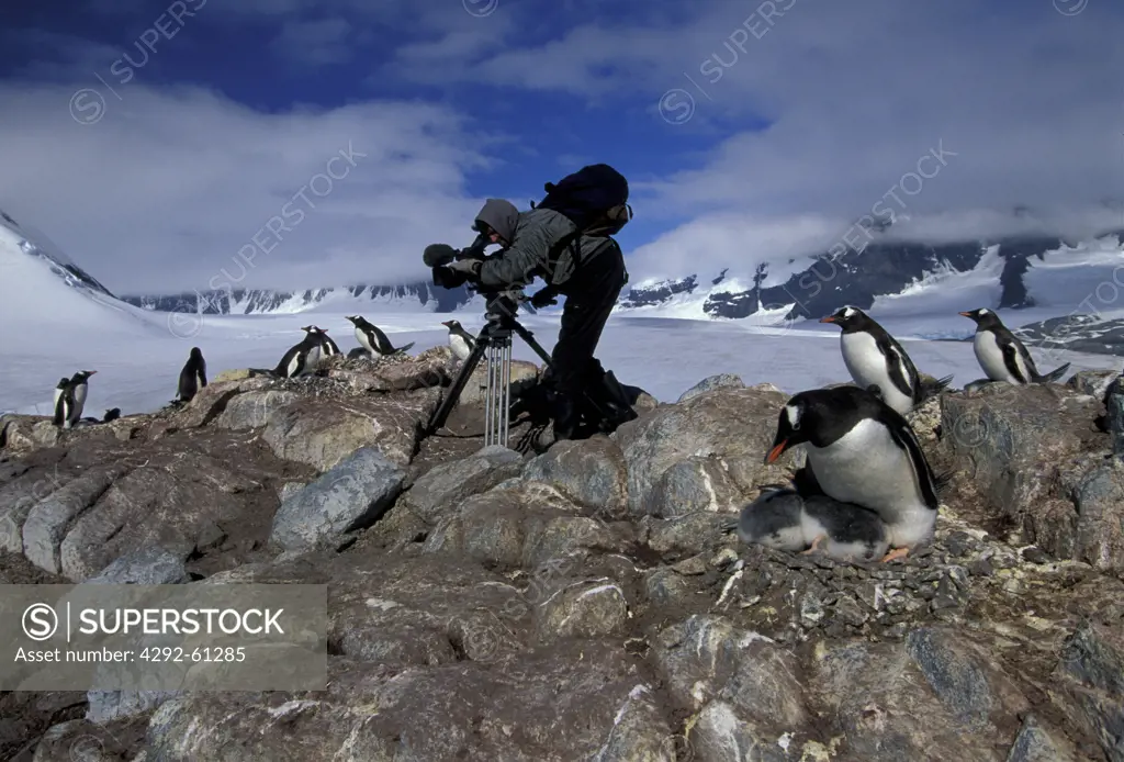 Antarctic Peninsula, man filming penguins