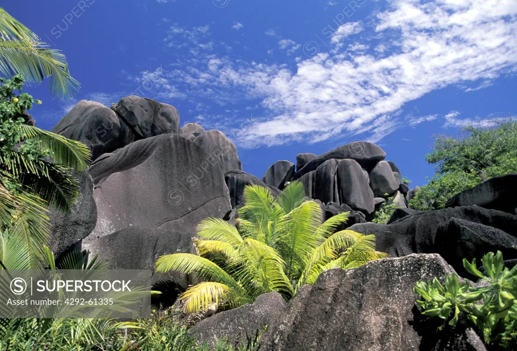 Seychelles, La Digue, la Baie dArgent. Granite stones and palm trees