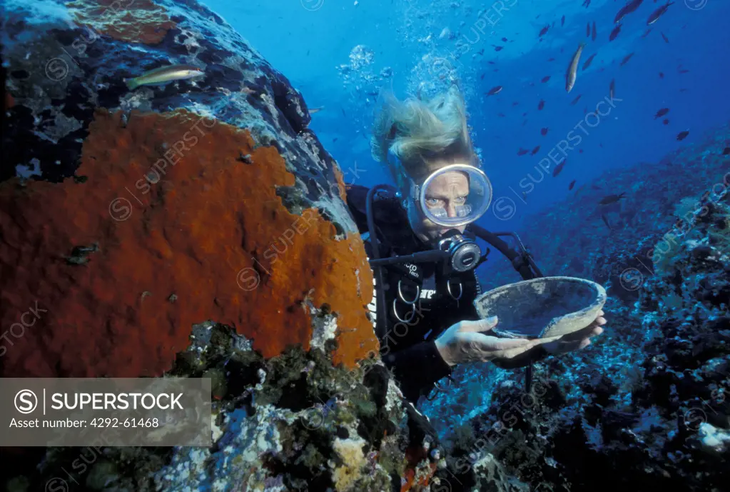 Diver with antique dish in the waters of Ponza island, Italy