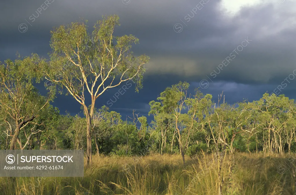 Australia, Northern Territory, Ahnmerland National Park