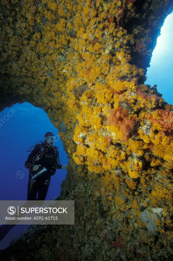 Italy, Sardinia, diver exploring underwater Capo Caccia cave