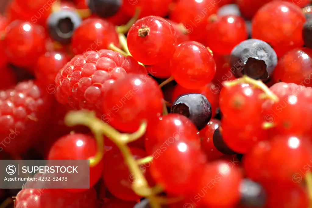Berries, close up