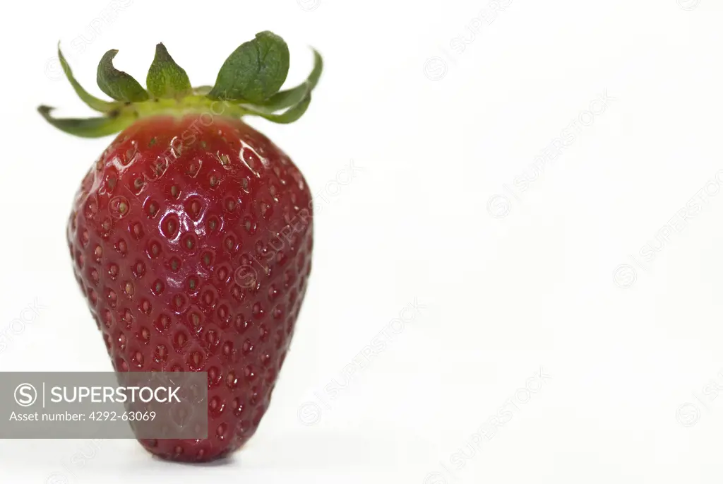 Studio shot of a Strawberry