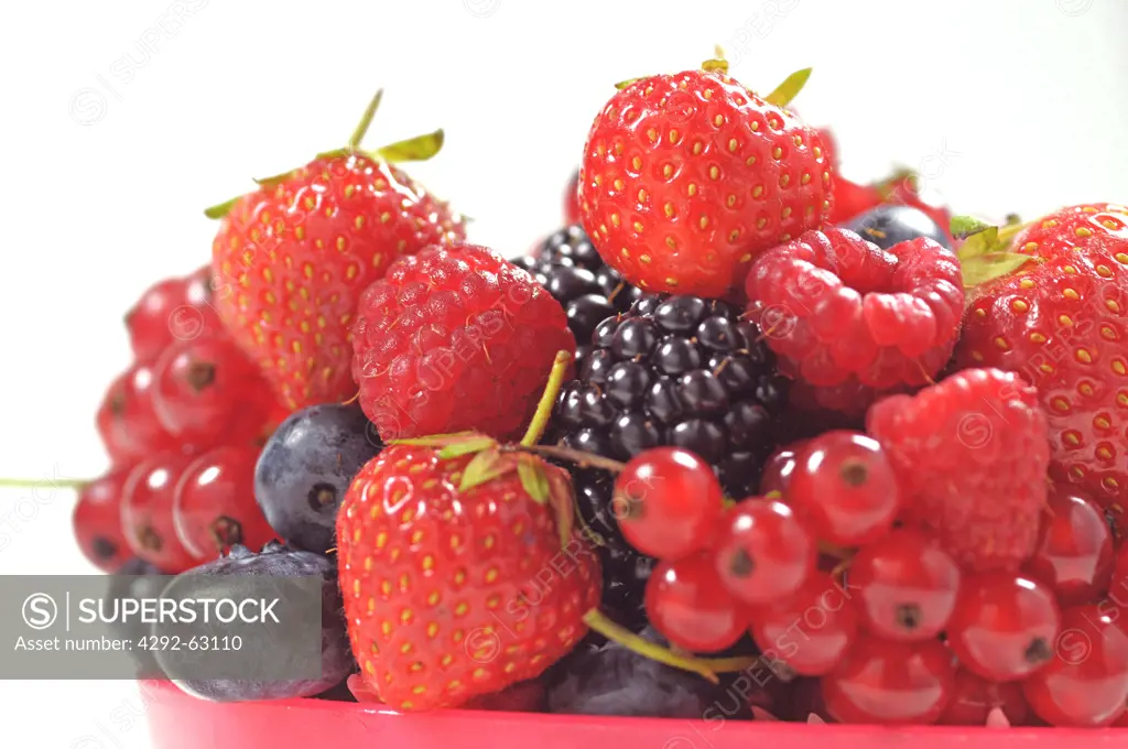 Bowl of assorted berries