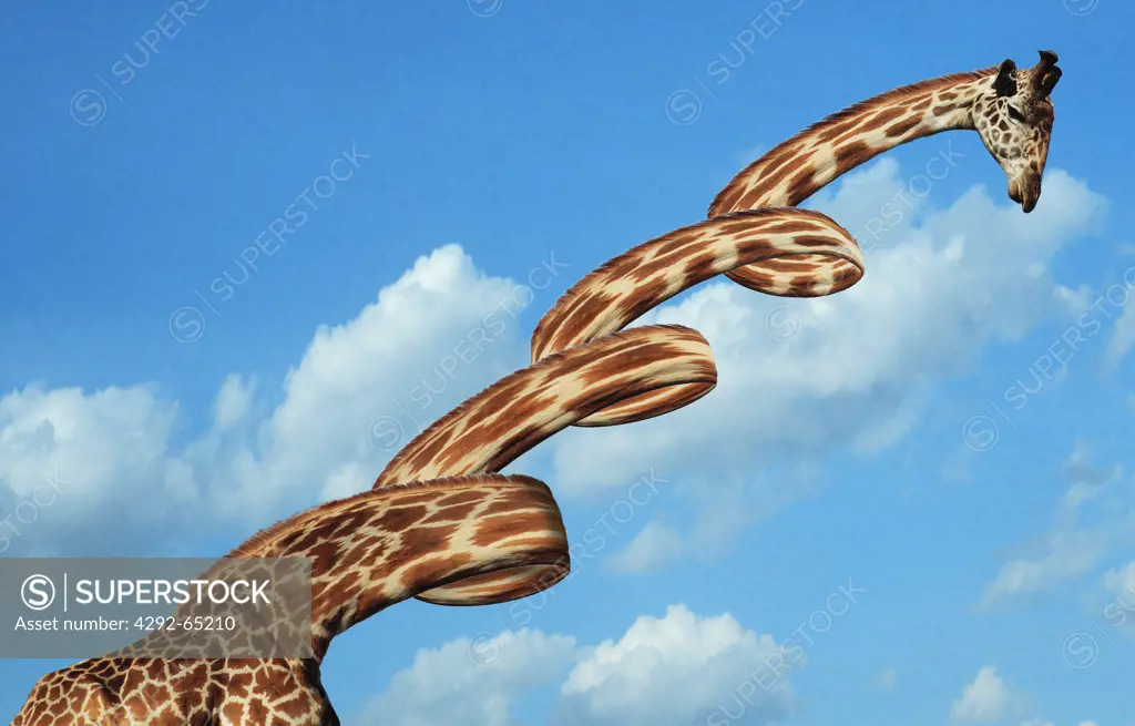 Giraffe with twisted neck, computer generated