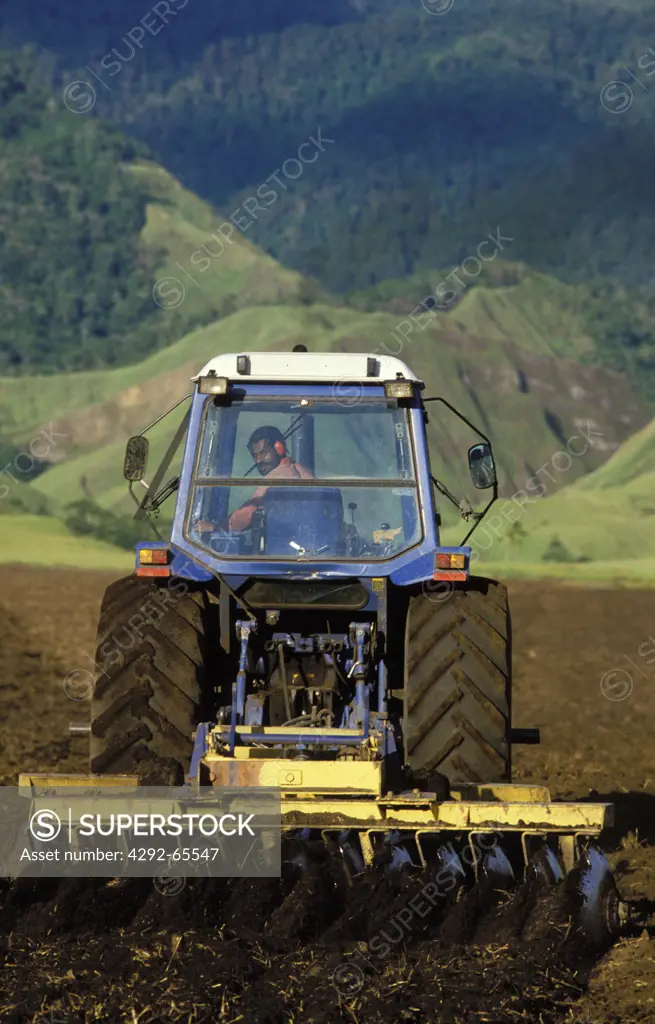 Papua New Guinea. Ploughing field for sugar cane