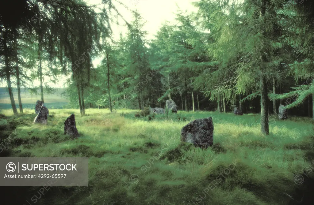 Scotland, Durris: nine Stanes stone circle