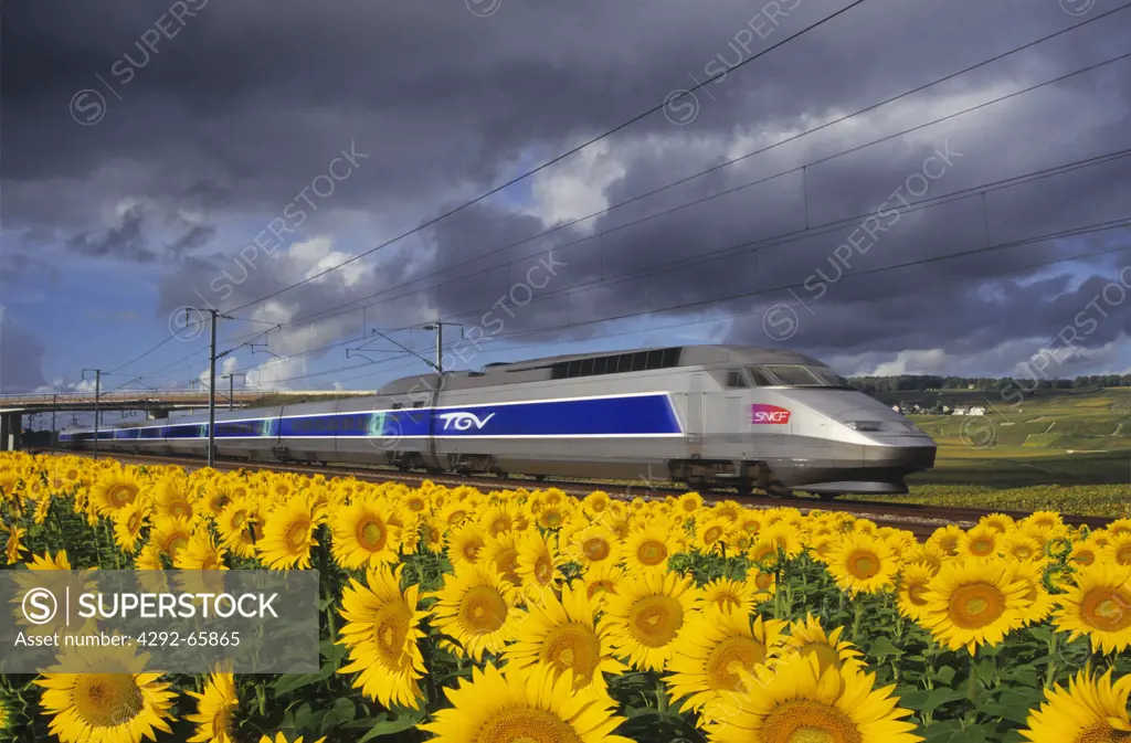 France, high speed train, tgv, travelling through fields of sunflowers and vineyards