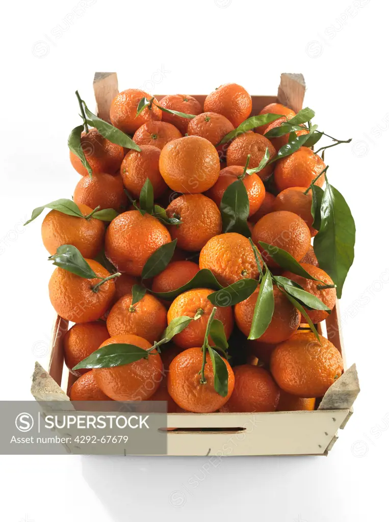 Orange in a crate