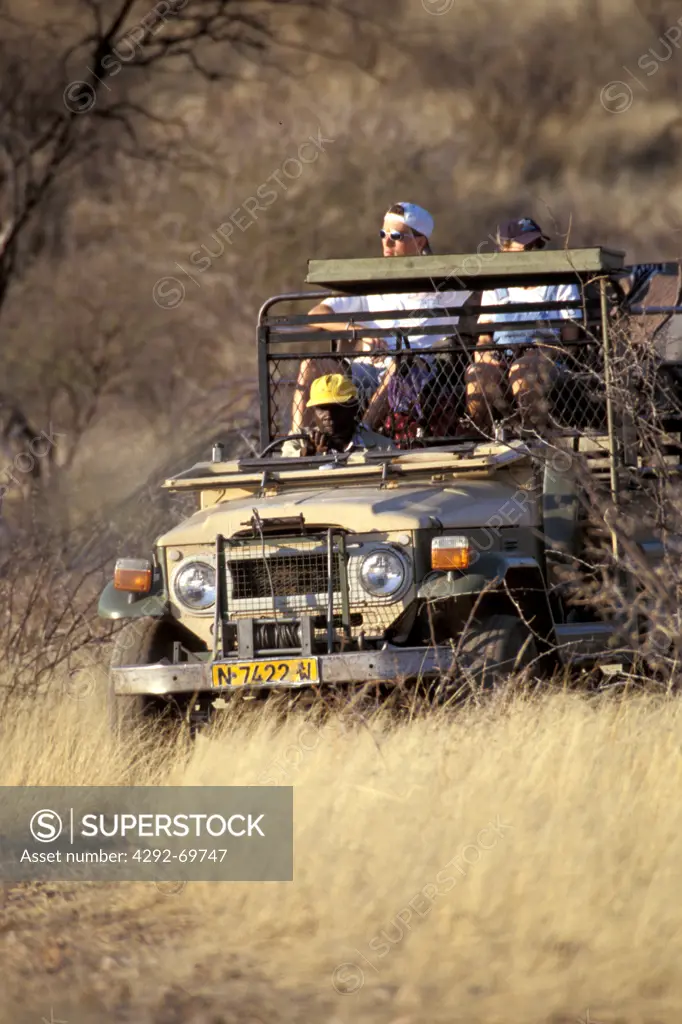 Africa, Namibia, Windhoek, safari