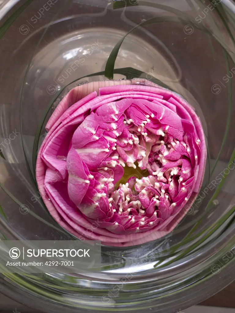 Water pot with peony