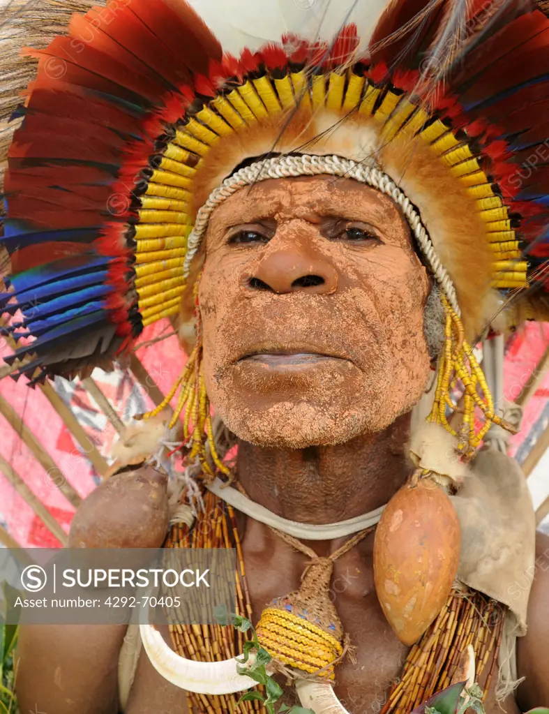 Papua New Guinea, highland festival, warrior portrait