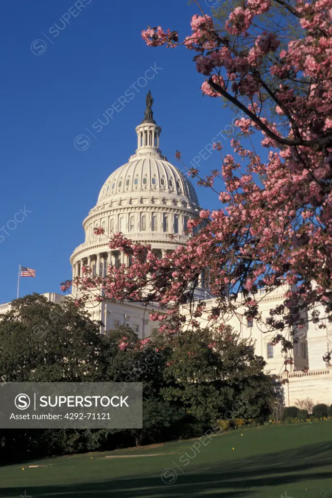 Usa, Washington DC, Capitol building
