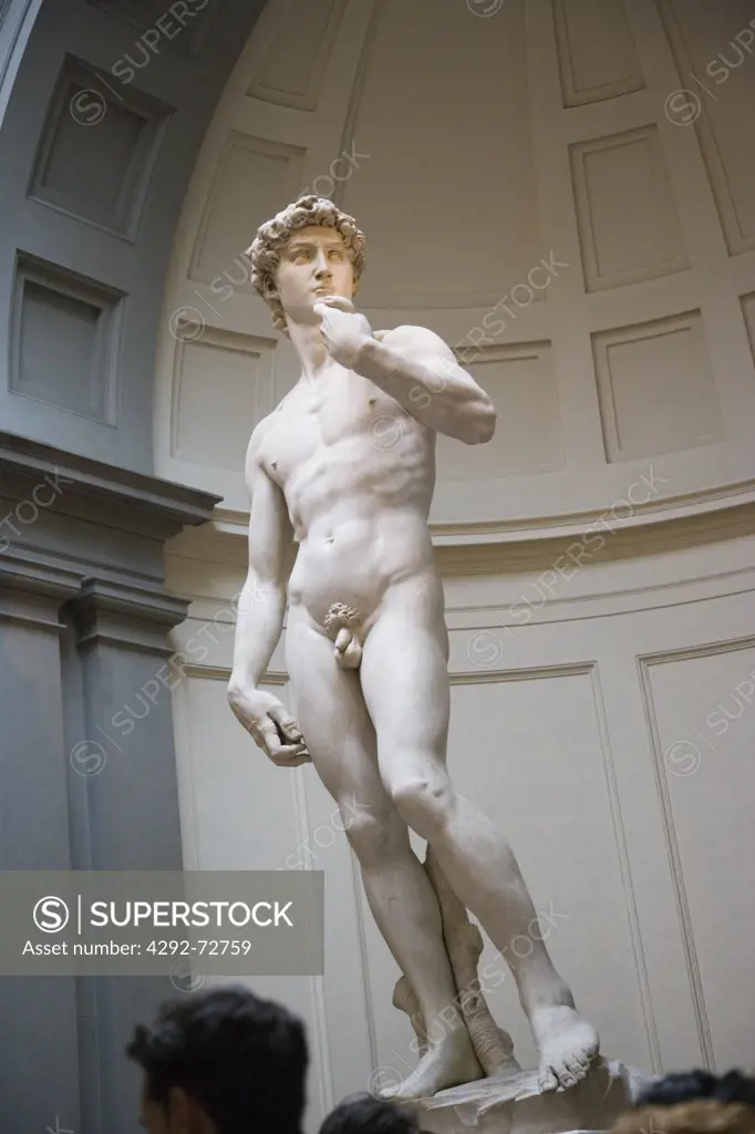 Italy, Tuscany, Florence, statue of David by Michelangelo in Galleria dell Accademia