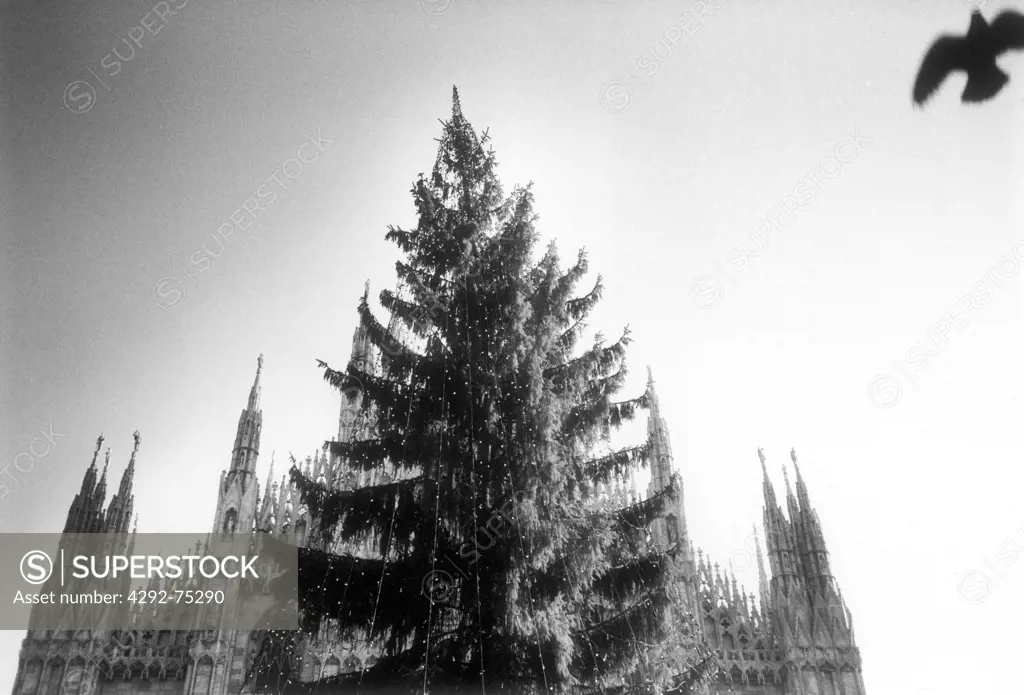 Milan. Duomo and Christmas tree