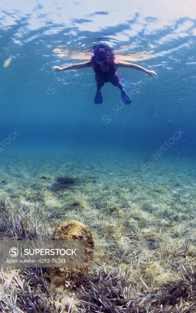 Italy, Sardinia, Asinara island, scuba diver looking at shell