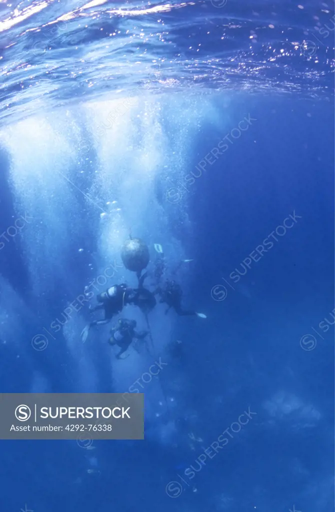 Italy, Sardinia, Asinara Island, scuba divers